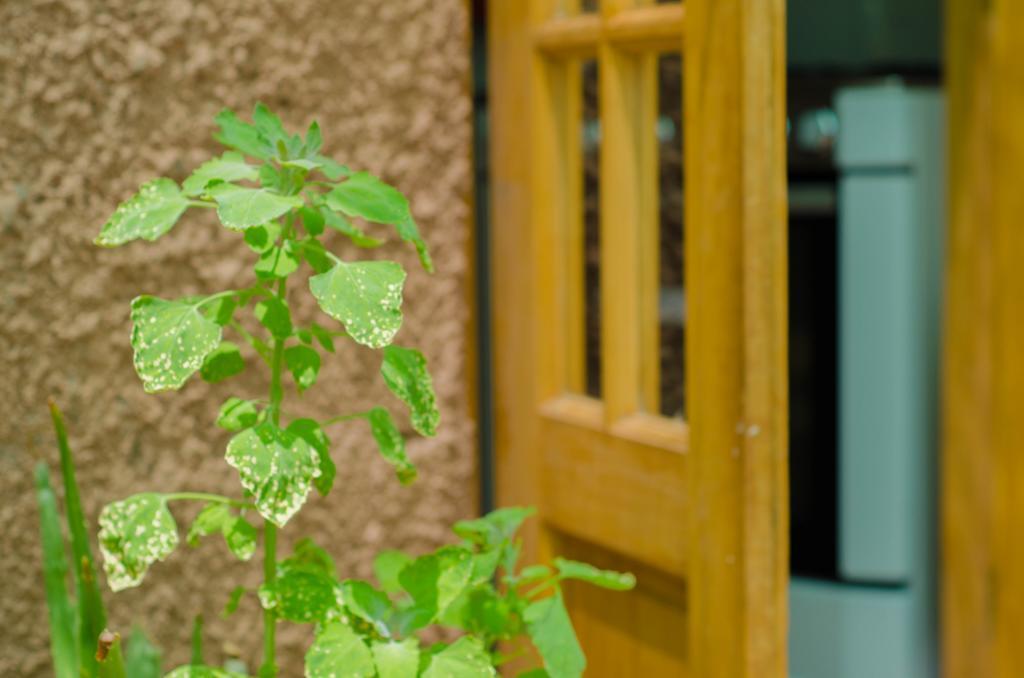 Hostal Alabalti ซานเปโดร เด อาตากามา ภายนอก รูปภาพ